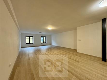 IMG_3954 | Pronájem bytu, 1+kk, 65 m²