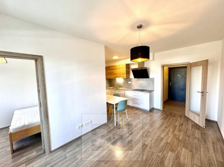 IMG_1916 | Pronájem bytu, 2+kk, 41 m²