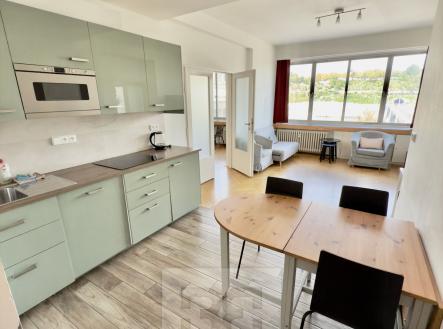 IMG_0040 | Pronájem bytu, 3+1, 82 m²