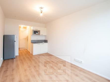 DSC_0199 | Pronájem bytu, 1+kk, 22 m²