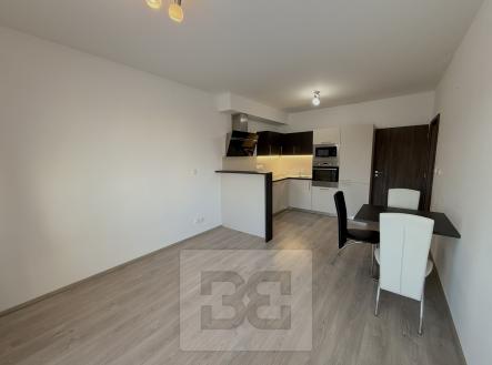 IMG_5932 | Pronájem bytu, 2+kk, 53 m²