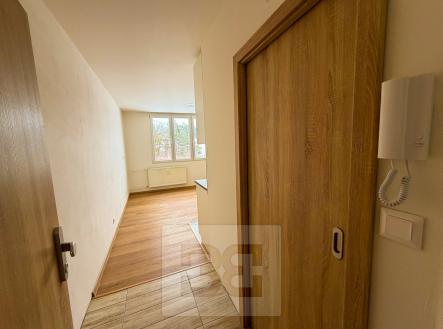 IMG_8202 | Pronájem bytu, 1+kk, 23 m²