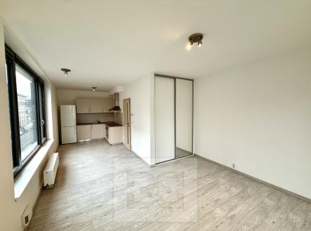 IMG_3885 | Pronájem bytu, 1+kk, 40 m²