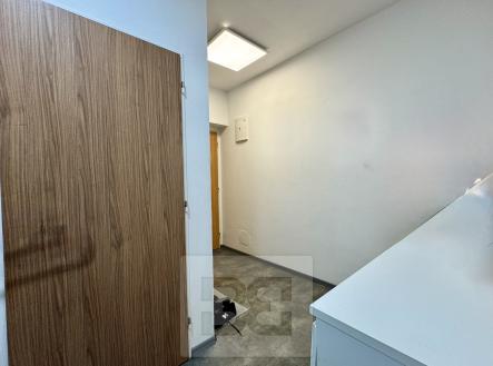 D1137076-29B5-489B-B2B8-72A29F79C998_1_201_a | Pronájem bytu, 2+kk, 55 m²