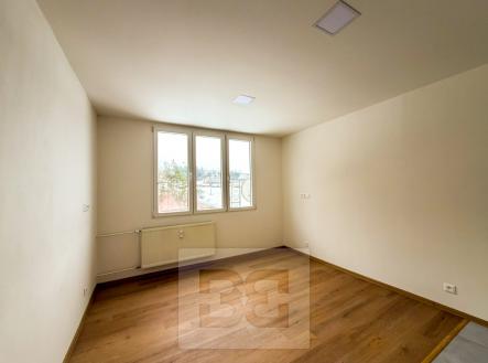 IMG_8198 | Pronájem bytu, 1+kk, 23 m²