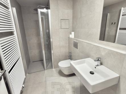 IMG_0656 | Pronájem bytu, 2+kk, 68 m²