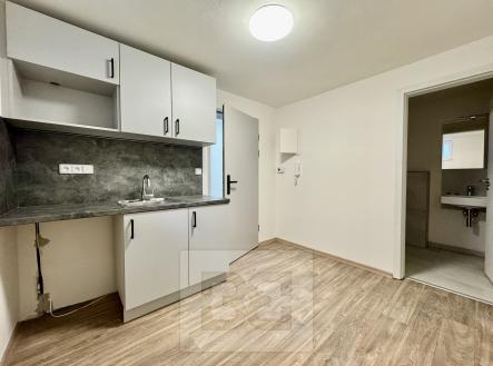 IMG_7319 | Pronájem bytu, 1+kk, 16 m²