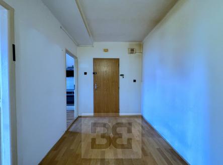 687A5B0B-B0CE-4E22-95DA-4A9A8E30ABA2_1_201_a | Prodej bytu, 2+1, 60 m²