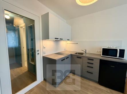 IMG_6883 | Pronájem bytu, 1+kk, 25 m²