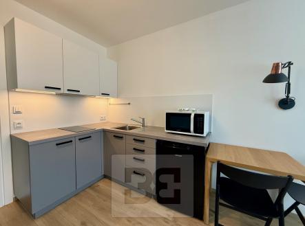 IMG_6882 | Pronájem bytu, 1+kk, 25 m²