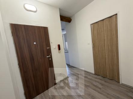 IMG_9038 | Pronájem bytu, 2+1, 55 m²