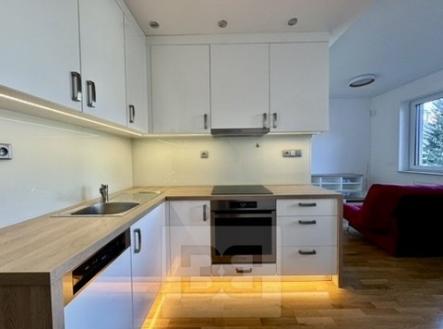 0CF561F3-AF80-4048-A61E-EDBC66F3727E_4_5005_c | Pronájem bytu, 1+kk, 44 m²