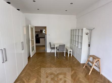 IMG_6359 | Pronájem bytu, 1+1, 31 m²