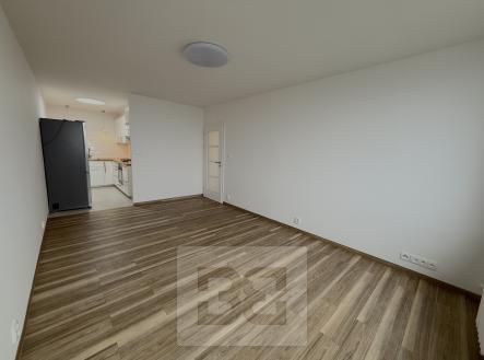 IMG_7160 | Pronájem bytu, 3+kk, 62 m²