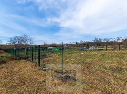 DSC_0165.jpg | Pronájem - pozemek, zahrada, 270 m²