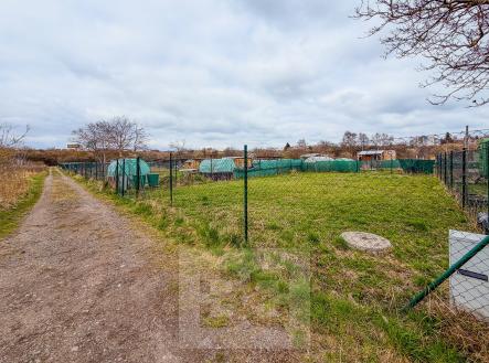 IMG_6031 | Pronájem - pozemek, zahrada, 270 m²