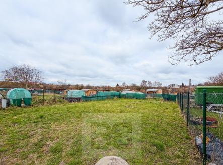 IMG_6030 | Pronájem - pozemek, zahrada, 270 m²