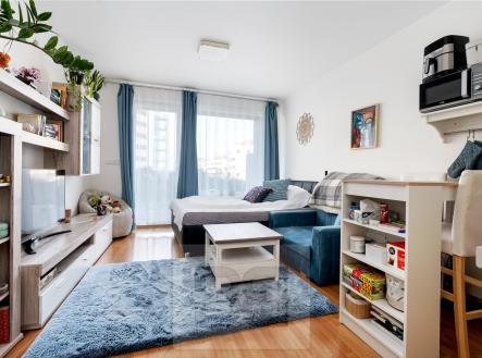 1 (1) | Prodej bytu, 1+kk, 31 m²