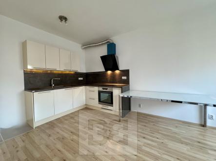 29B010B9-1644-4F72-84DB-37CDB2BEE0FB_1_201_a | Pronájem bytu, 1+kk, 42 m²