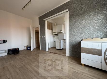 96D507D2-D534-4CA5-B28F-CCEA81351773_1_105_c | Pronájem bytu, 2+1, 57 m²