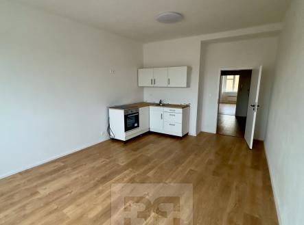 IMG_5875 | Pronájem bytu, 2+kk, 53 m²