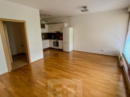 IMG_3981 | Pronájem bytu, 1+kk, 49 m²
