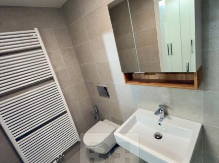 IMG_0823 | Pronájem bytu, 2+kk, 59 m²