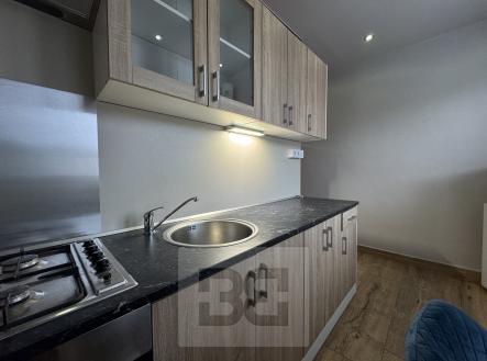 IMG_8200 | Pronájem bytu, 1+1, 43 m²