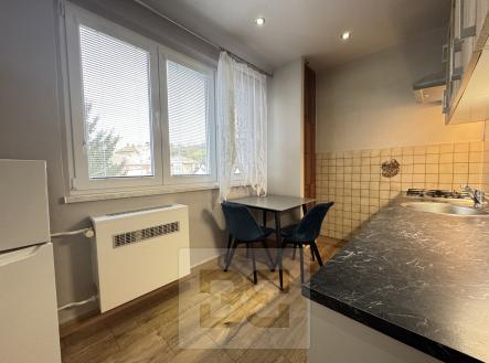 IMG_8196 | Pronájem bytu, 2+1, 43 m²