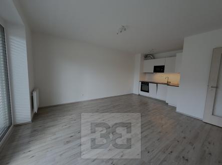 IMG_7809 | Pronájem bytu, 2+kk, 56 m²