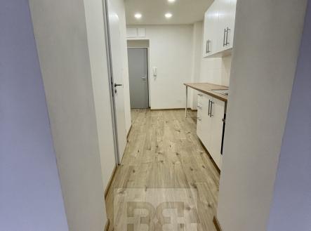 IMG_7112 | Pronájem bytu, 1+1, 30 m²