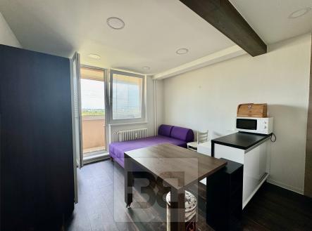 IMG_5809 | Pronájem bytu, 1+kk, 25 m²