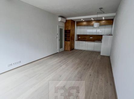 IMG_2654 | Pronájem bytu, 3+kk, 88 m²