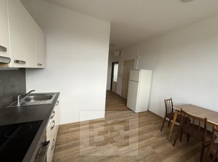 IMG_7787 | Pronájem bytu, 2+1, 54 m²