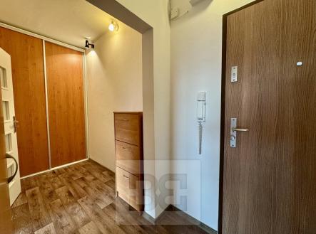 IMG_5566 | Pronájem bytu, 2+kk, 48 m²