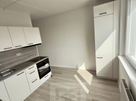 IMG_0925 | Pronájem bytu, 2+1, 59 m²