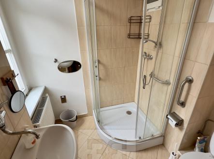 IMG_3065 | Pronájem bytu, 2+kk, 38 m²