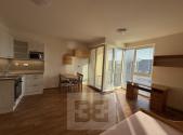 Pronájem bytu, 1+kk, 31 m²