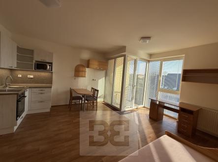 IMG_7051 | Pronájem bytu, 1+kk, 31 m²