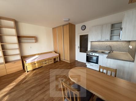 IMG_7053 | Pronájem bytu, 1+kk, 31 m²