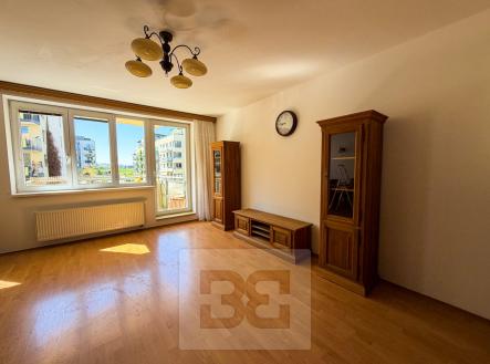 IMG_0389 | Pronájem bytu, 3+1, 78 m²