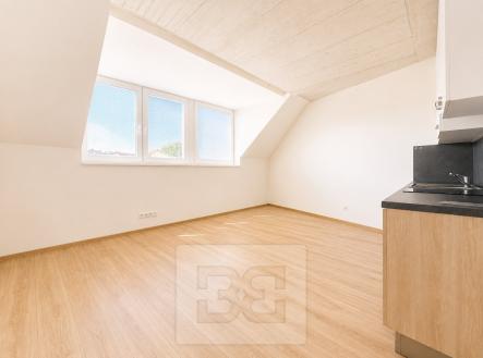 8A94B93A-2350-4DD4-9CB7-EB5B5FB52621 | Pronájem bytu, 1+kk, 38 m²