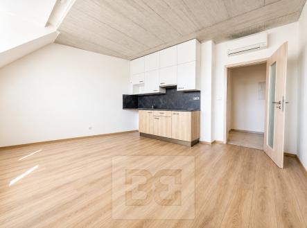 CD30EF50-D4C7-47C2-A88F-657484E003B3 | Pronájem bytu, 1+kk, 38 m²
