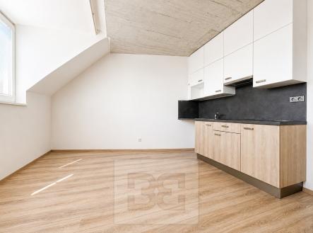 1EEAFE0B-F0AD-42E0-80EB-252DE2575327 | Pronájem bytu, 1+kk, 38 m²