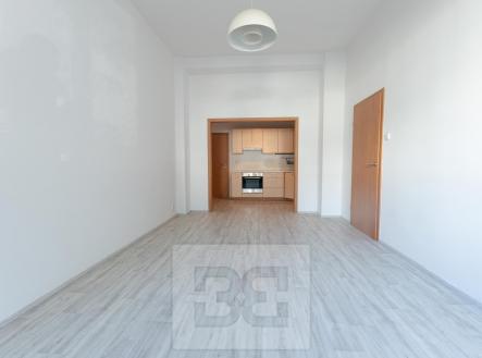 Rybalkova-2 | Pronájem bytu, 2+kk, 47 m²
