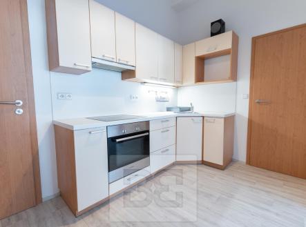 Rybalkova-4 | Pronájem bytu, 2+kk, 47 m²