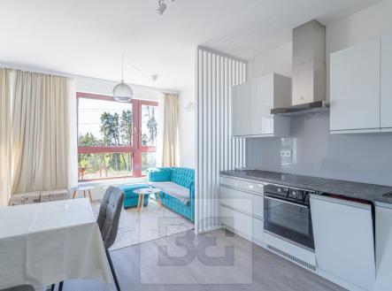 Pronájem bytu, 1+kk, 44 m²