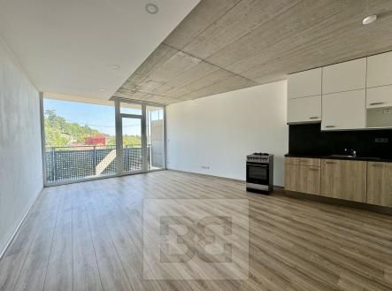 IMG_3328 2 | Pronájem bytu, 1+kk, 38 m²