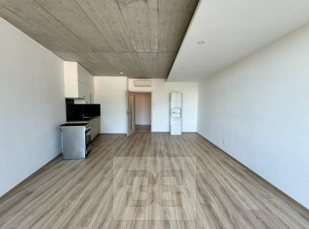 IMG_3326 2 | Pronájem bytu, 1+kk, 38 m²