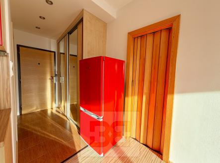 8DF3211E-DCB2-4943-90EE-139598BB2BE3 | Pronájem bytu, 1+kk, 30 m²